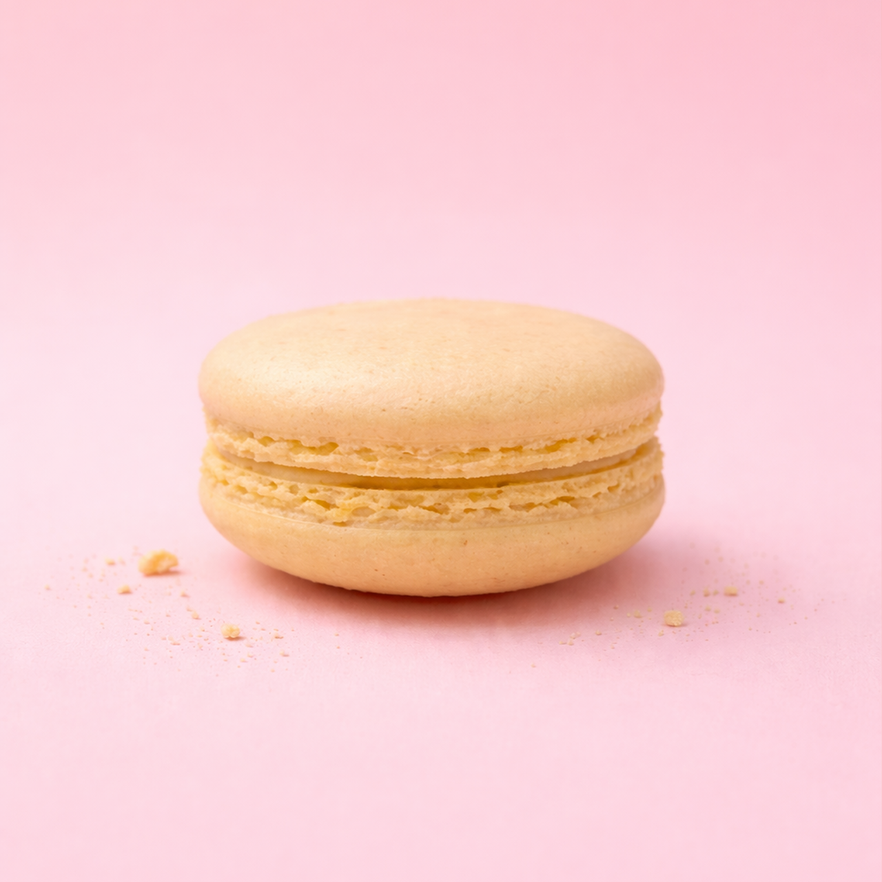 Cream Macaron Shell