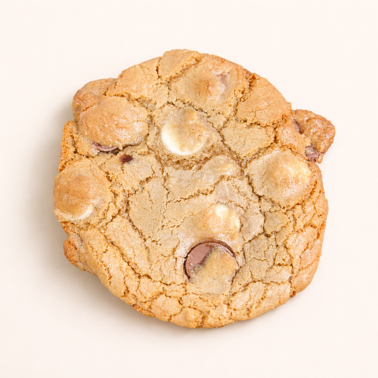Chewy Double Choc Chip Cookie