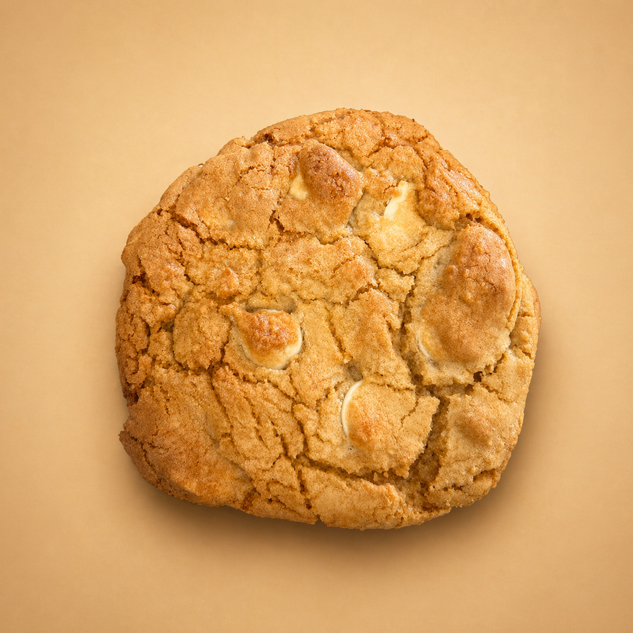 Chewy White Choc Chip Macadamia Cookie